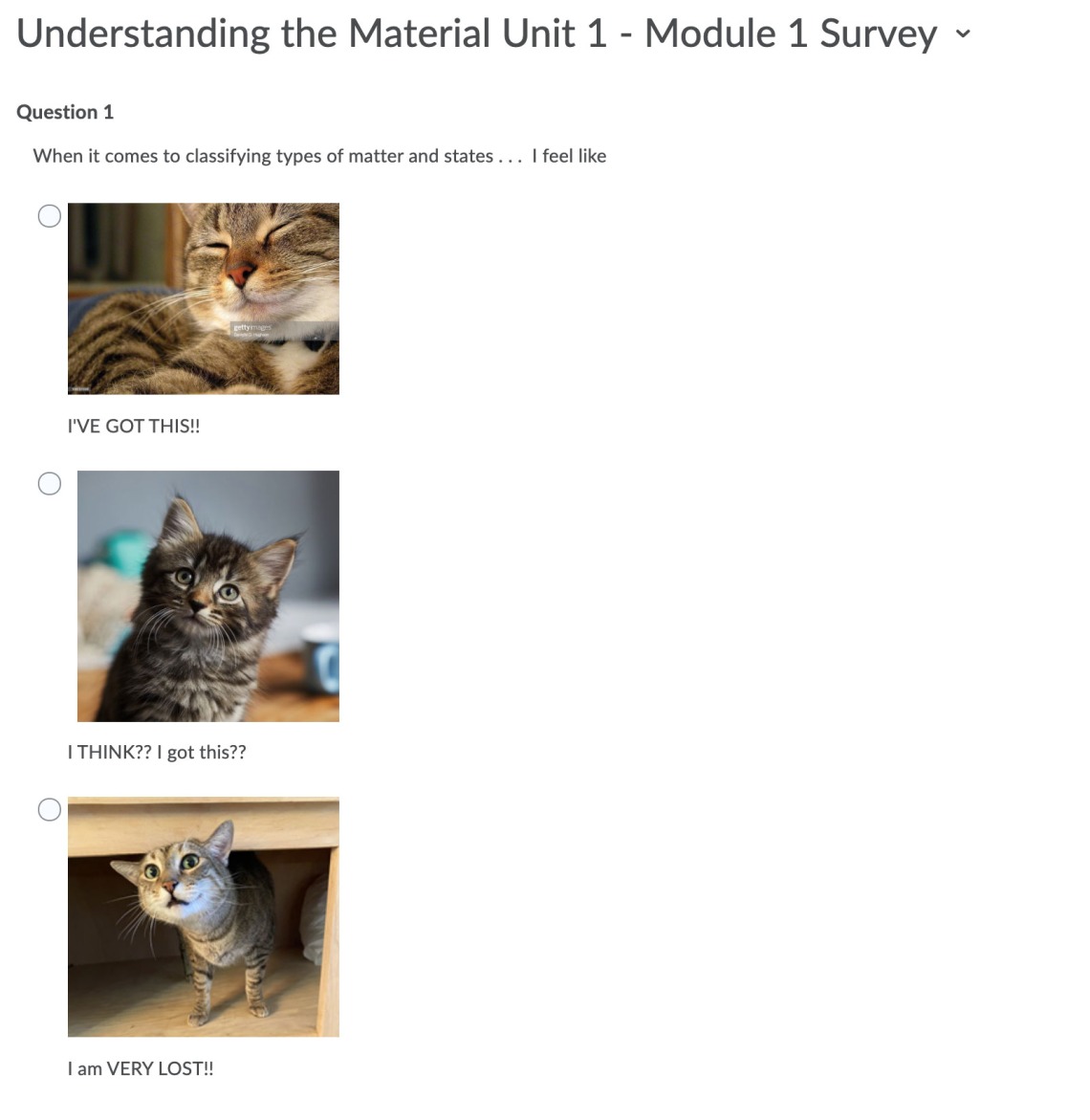D2L Survey showing options using a combination of images and text